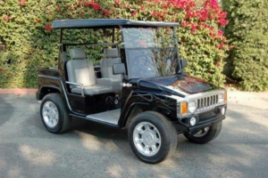 affordable golf cart rental, golf cart rent indiana